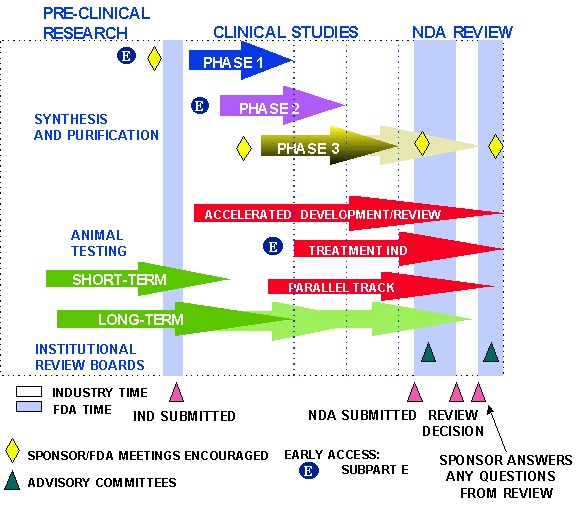 FDA Approval Process