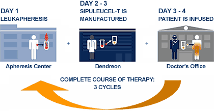 DNDN Provenge Process DNDN Provenge Process