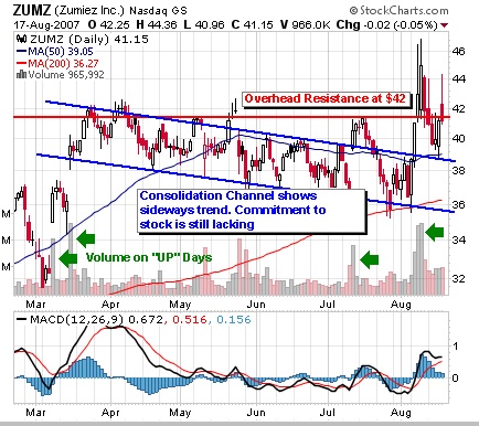 Zumiez Chart August 2007