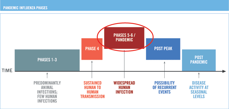 phases5-6 phases5-6