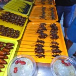 photo(5)
